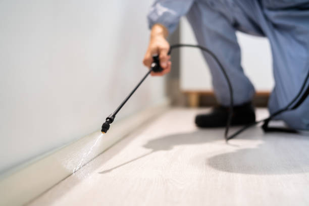 Licensed Pest Control service in Bensley, VA - Show Me Pest Control