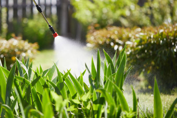 Tamper-Resistant Bait Stations for Rodents in Bensley