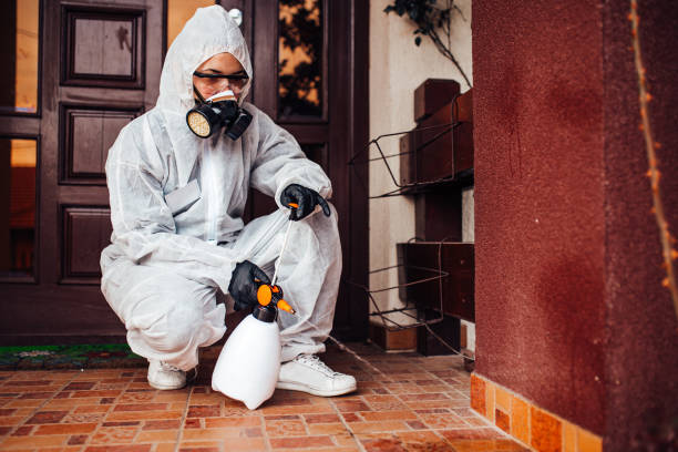 Attic and Crawl Space Rodent Treatment in Bensley