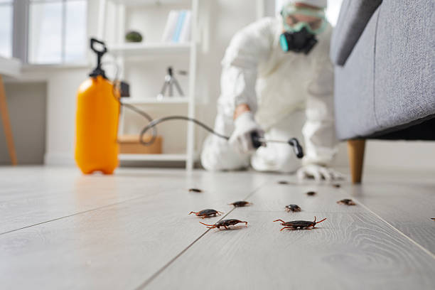 Commercial Rodent Management in Bensley
